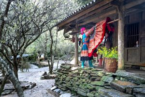 Sapa Ethnic Villages Travel Guide 2025: Cultural Tips, Costs & Eco-Tours